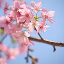 漳州旅游 缩略图 2