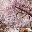喀什地区旅游 缩略图 7