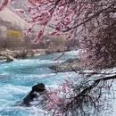 喀什地区旅游 缩略图 5