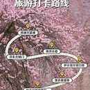 喀什地区旅游 缩略图 1