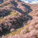 伊犁旅游 缩略图 3