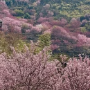 漳州旅游 缩略图 3