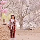 喀什地区旅游 缩略图 3