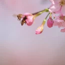 漳州旅游 缩略图 5