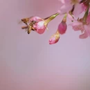 漳州旅游 缩略图 6