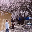 喀什地区旅游 缩略图 7
