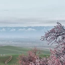 伊犁旅游 缩略图 4