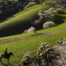 伊犁旅游 缩略图 12