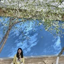 伊犁旅游 缩略图 5