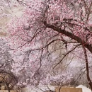 喀什地区旅游 缩略图 8