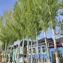 伊犁旅游 缩略图 7