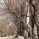 伊犁旅游 缩略图 1