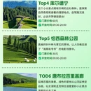 伊犁旅游 缩略图 3