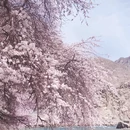 喀什地区旅游 缩略图 10