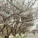 伊犁旅游 缩略图 2
