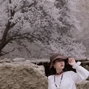 喀什地区旅游 缩略图 4