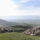 伊犁旅游 缩略图 1