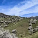 伊犁旅游 缩略图 5