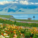 伊犁旅游 缩略图 3