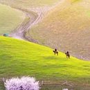 伊犁旅游 缩略图 4