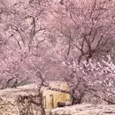 喀什地区旅游 缩略图 11