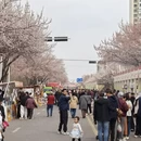 伊犁旅游 缩略图 4