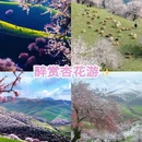 伊犁旅游 缩略图 1