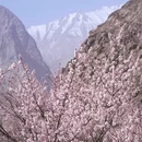 喀什地区旅游 缩略图 2