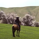 伊犁旅游 缩略图 3