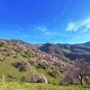 伊犁旅游 缩略图 10