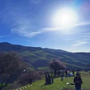 伊犁旅游 缩略图 12