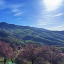 伊犁旅游 缩略图 15