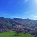 伊犁旅游 缩略图 14