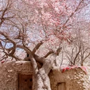 喀什地区旅游 缩略图 9