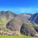 伊犁旅游 缩略图 4
