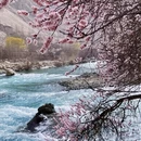 喀什地区旅游 缩略图 10