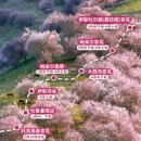 伊犁旅游 缩略图 1