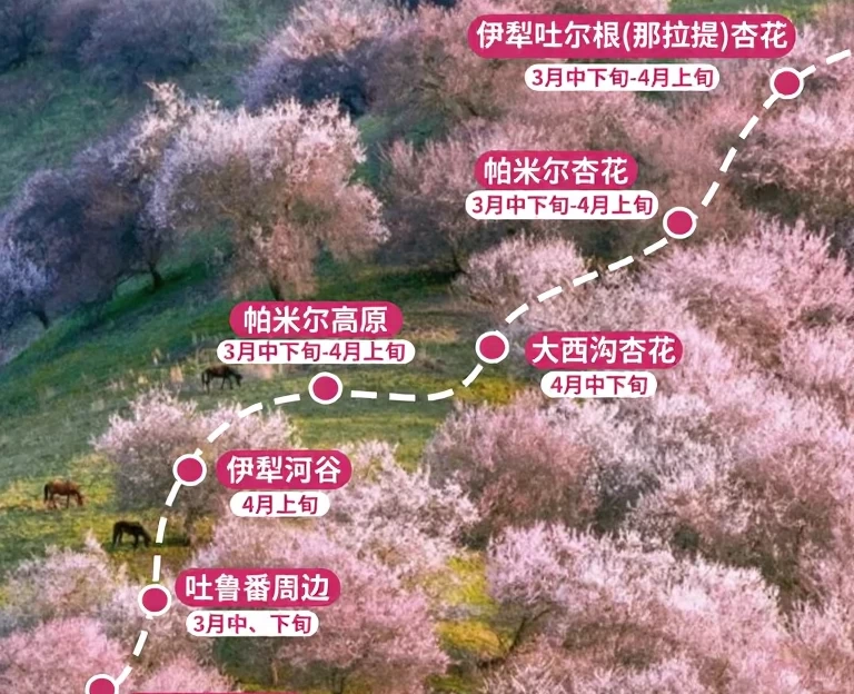伊犁旅游 1