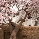 喀什地区旅游 缩略图 4