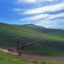 伊犁旅游 缩略图 8