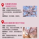 伊犁旅游 缩略图 2