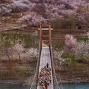 伊犁旅游 缩略图 5