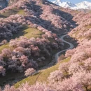伊犁旅游 缩略图 3