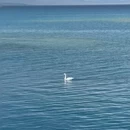 伊犁旅游 缩略图 4