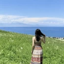 伊犁旅游 缩略图 7