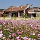 漳州旅游 缩略图 3