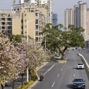 漳州旅游 缩略图 1