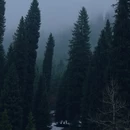 伊犁旅游 缩略图 9