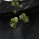 福州旅游 缩略图 3