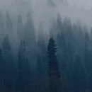 伊犁旅游 缩略图 8